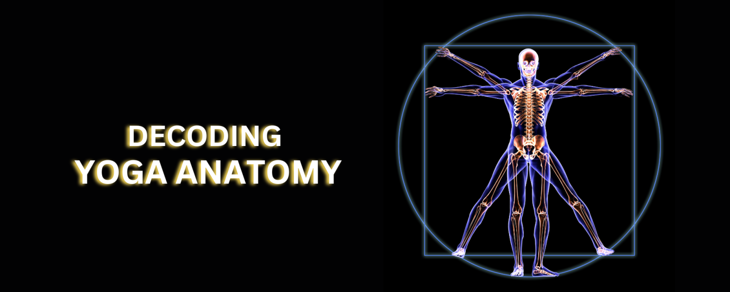 Decoding Yoga Anatomy
