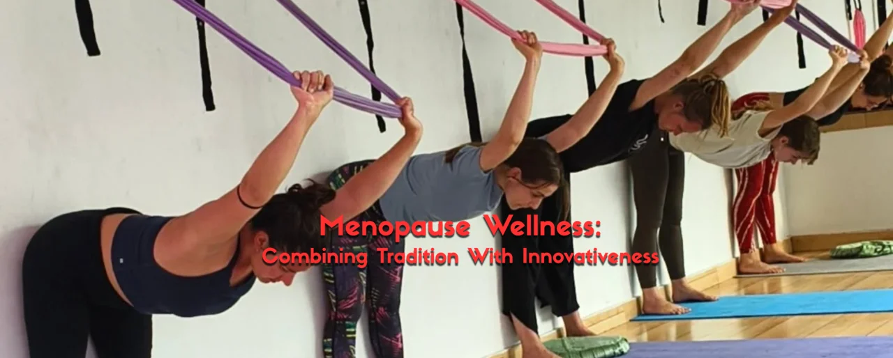 Menopause Wellness: A Holistic Guide to Thriving Through Change